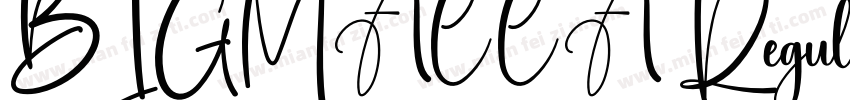 BIGMACCA Regular字体转换